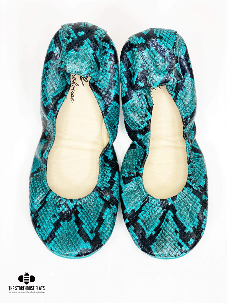 Teal Snakes | The Storehouse Flats